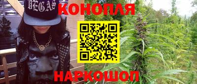 сатива Кулебаки