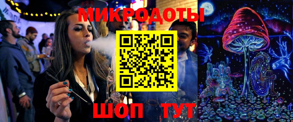 Галлюциногенные грибы Psilocybe Подольск